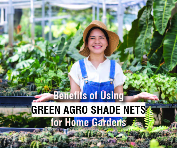 Top Benefits of Using Green Agro Shade Nets for Home Gardens | Premier Polytech