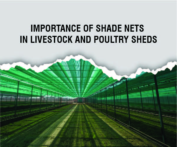 Keeping Them Cool and Productive: The Critical Role of Shade Nets in Livestock and Poultry Welfare