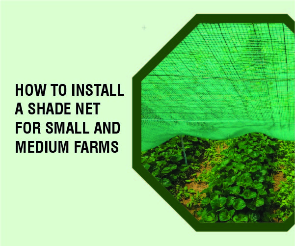 A Farmer’s Guide: How to Install a Shade Net for Small and Medium Farms