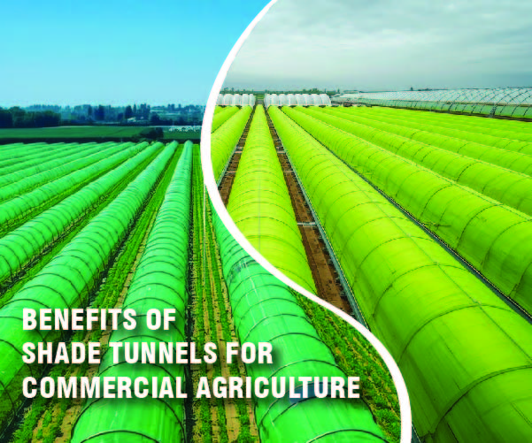 The Power of Protection: Unlocking Commercial Benefits with Shade Tunnels