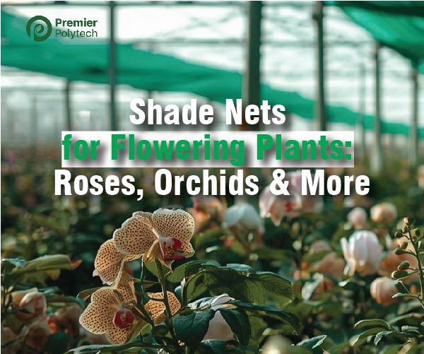 Shade Nets for Flowering Plants: Optimizing Light for Roses, Orchids, and Floriculture Success