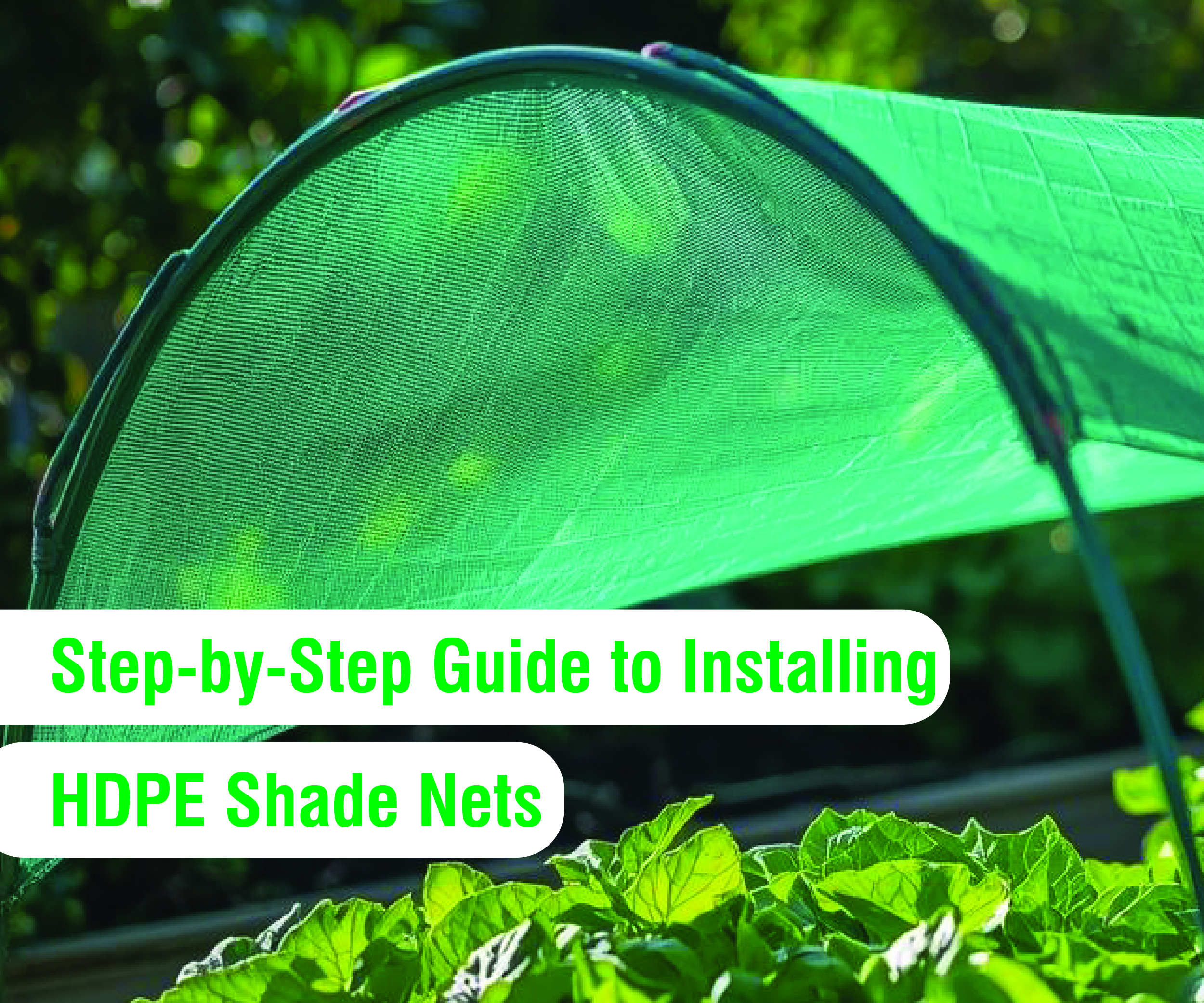 Secure Your Harvest: A Step-by-Step Guide to Installing HDPE Shade Nets