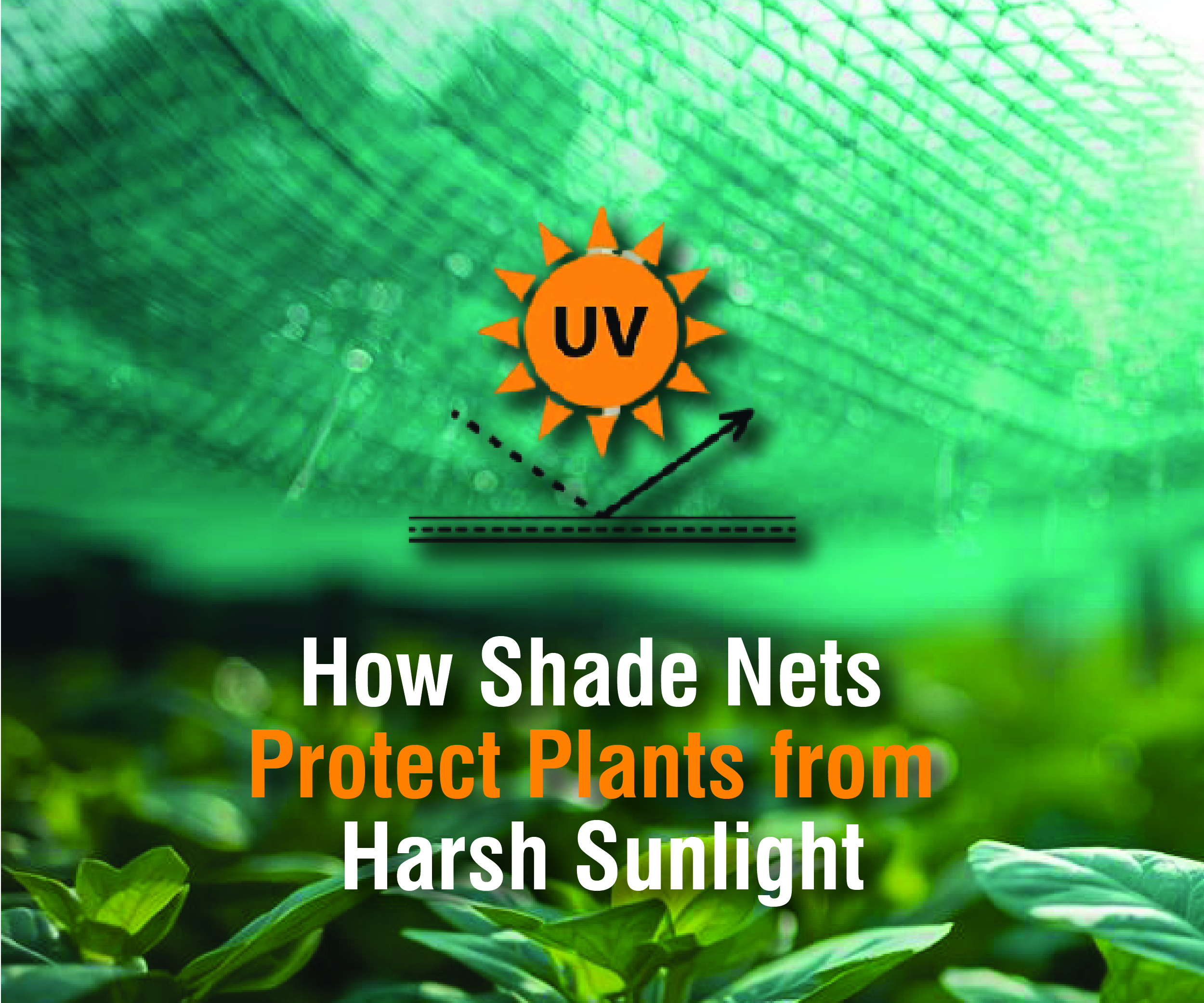 Shielding the Green: How Shade Nets Protect Plants from Harsh Sunlight