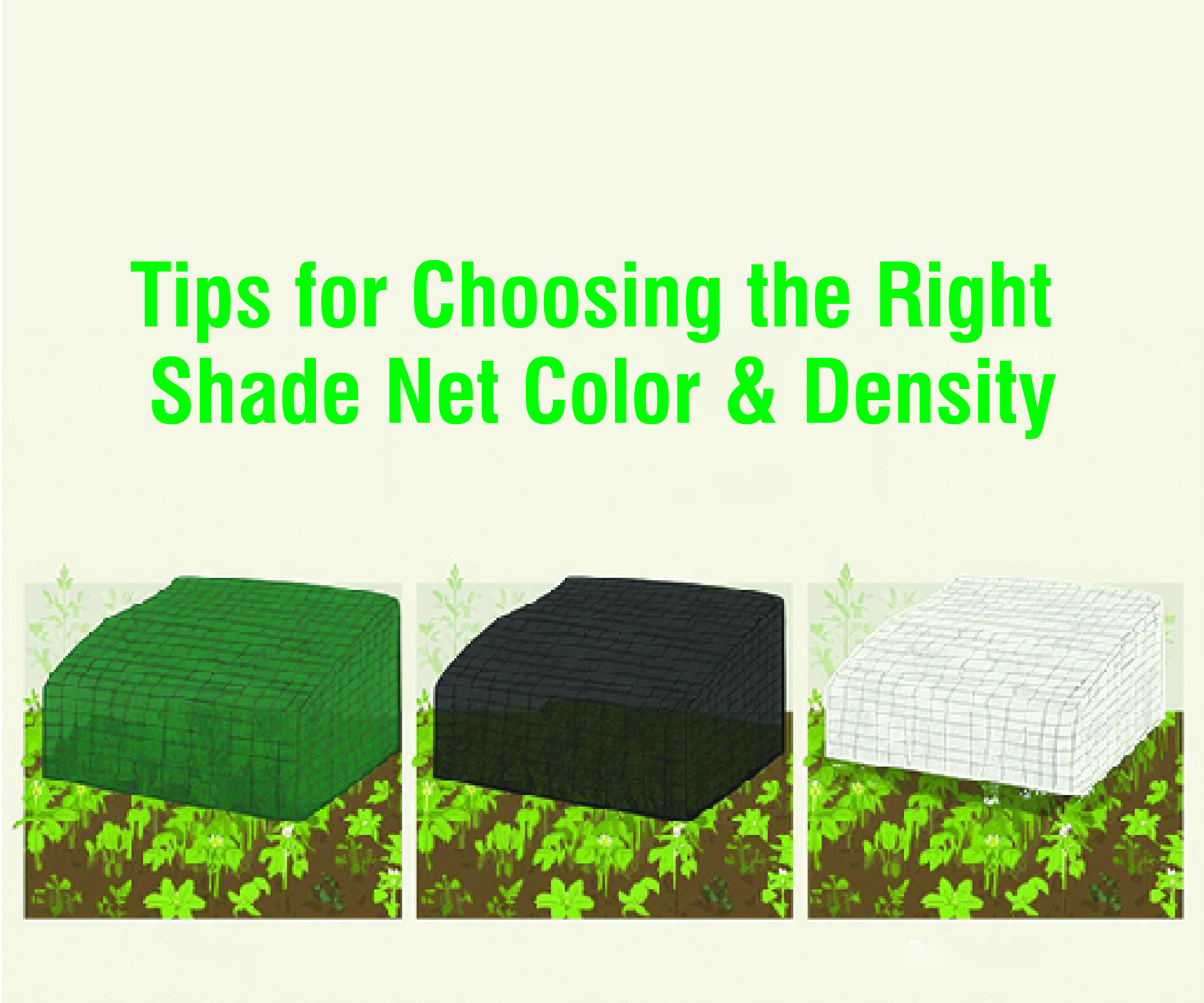 The Science of Shade: Tips for Choosing the Right Shade Net Color and Density