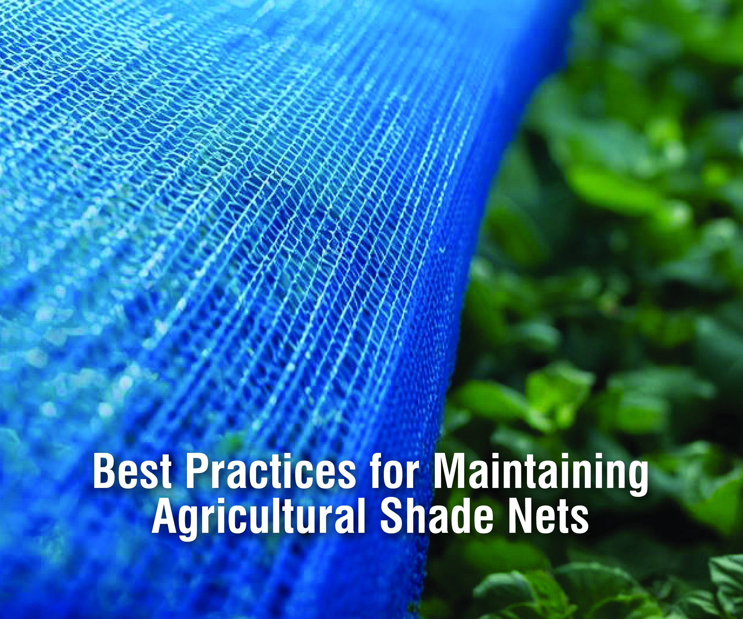 Protecting Your Investment: Best Practices for Maintaining Agricultural Shade Nets