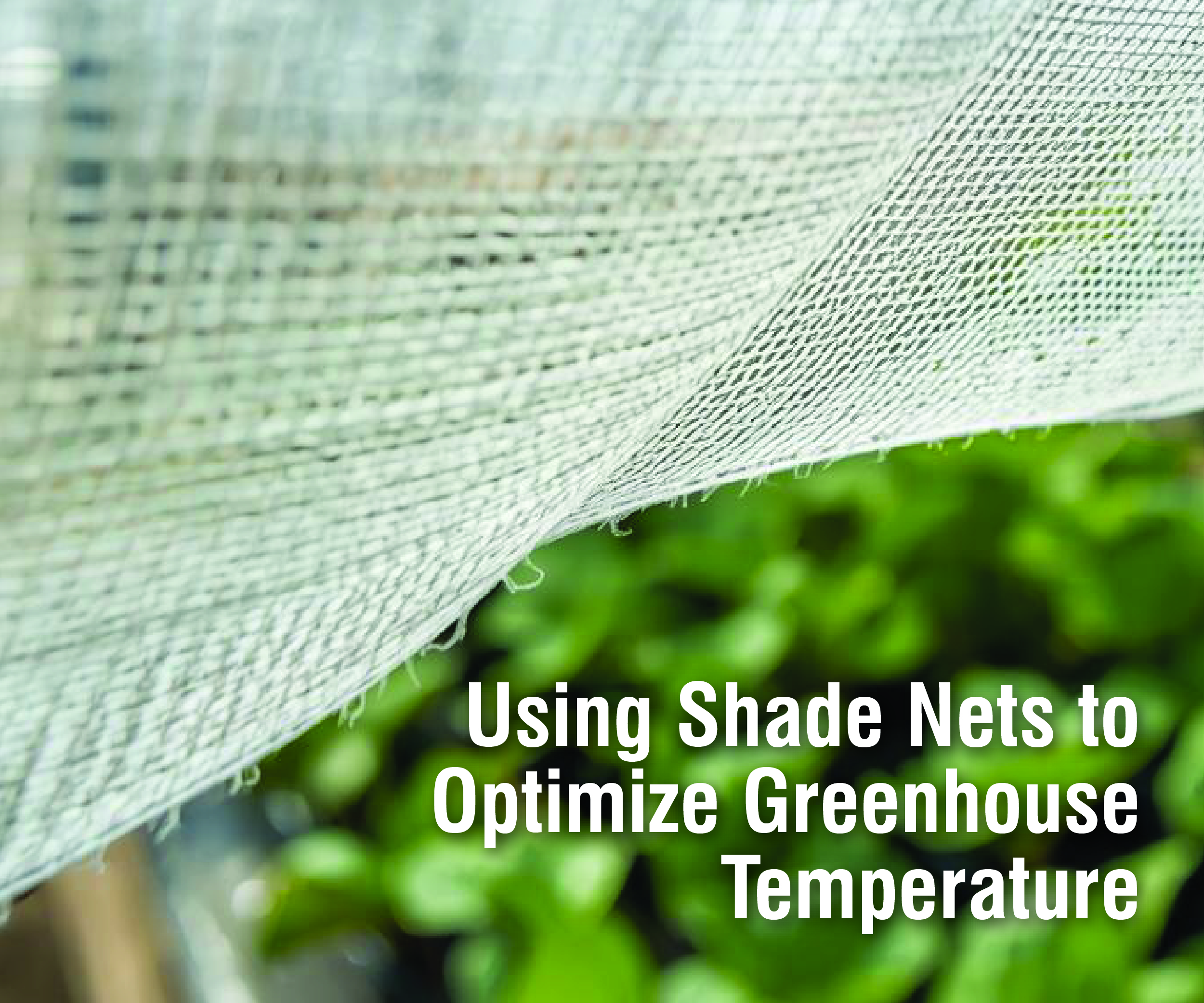 Temperature Tamer: Using Shade Nets to Optimize Greenhouse Temperature