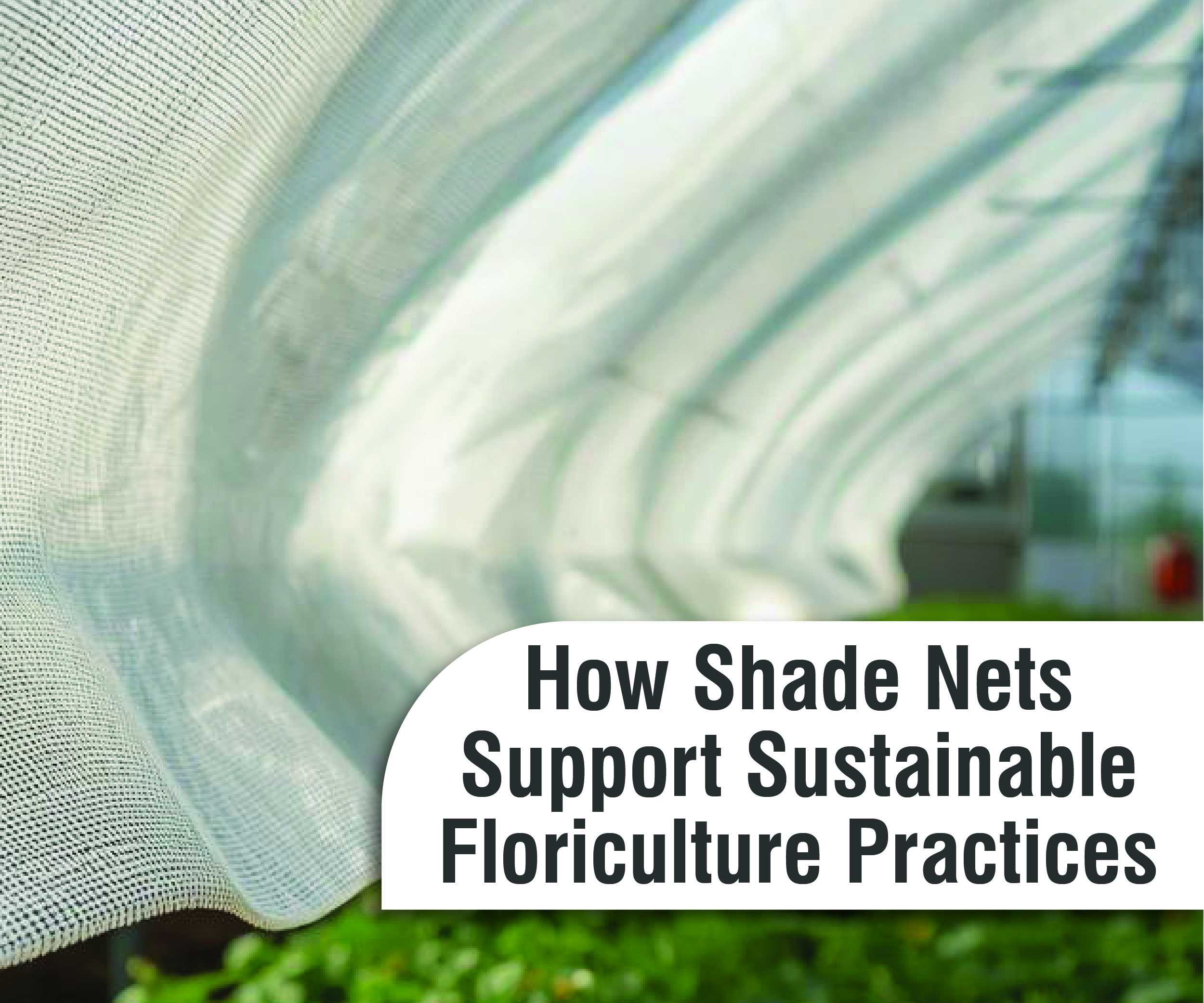 Green Blooms: How Shade Nets Support Sustainable Floriculture Practices