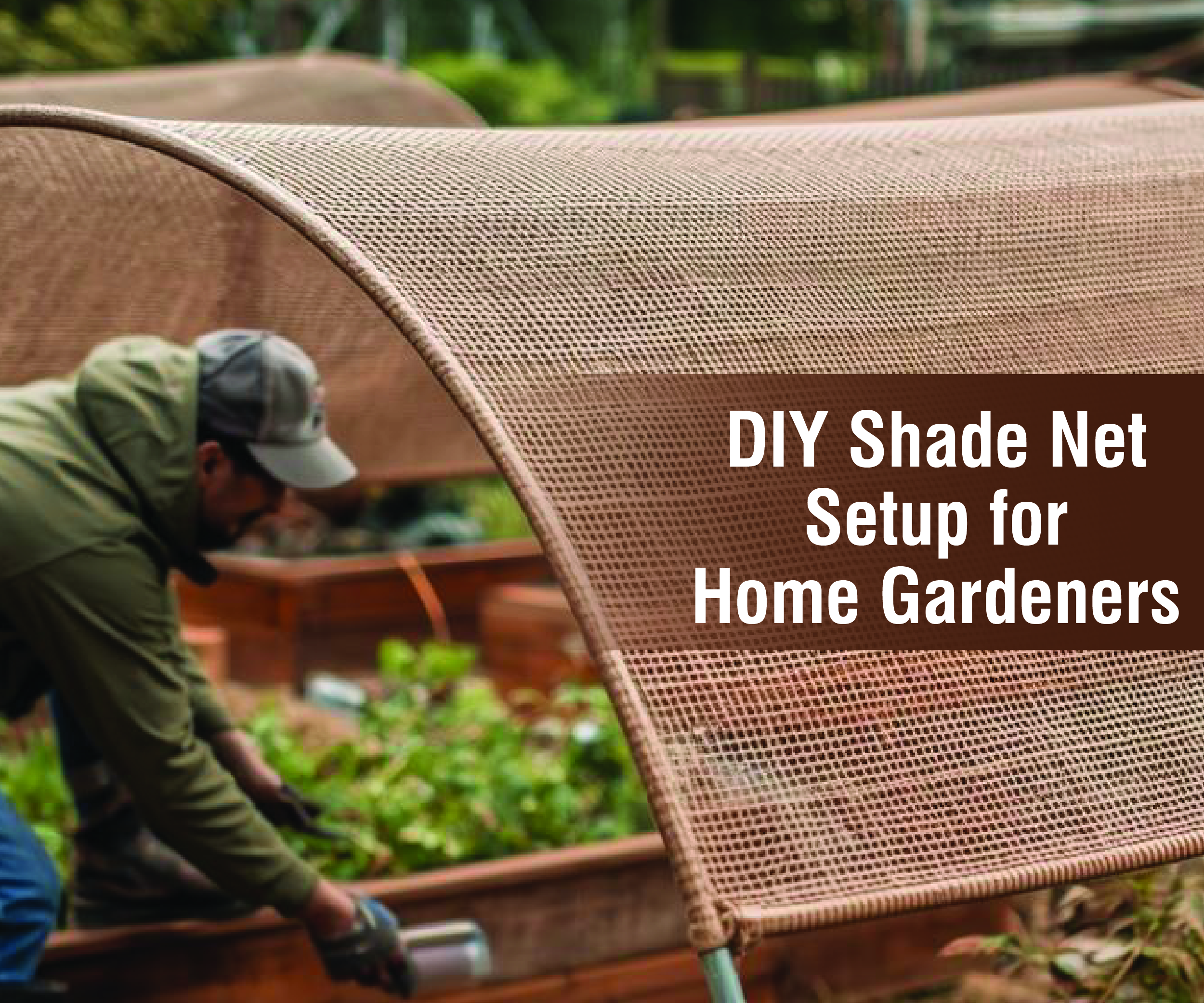 Green Thumb DIY: Step-by-Step Shade Net Setup for Home Gardeners