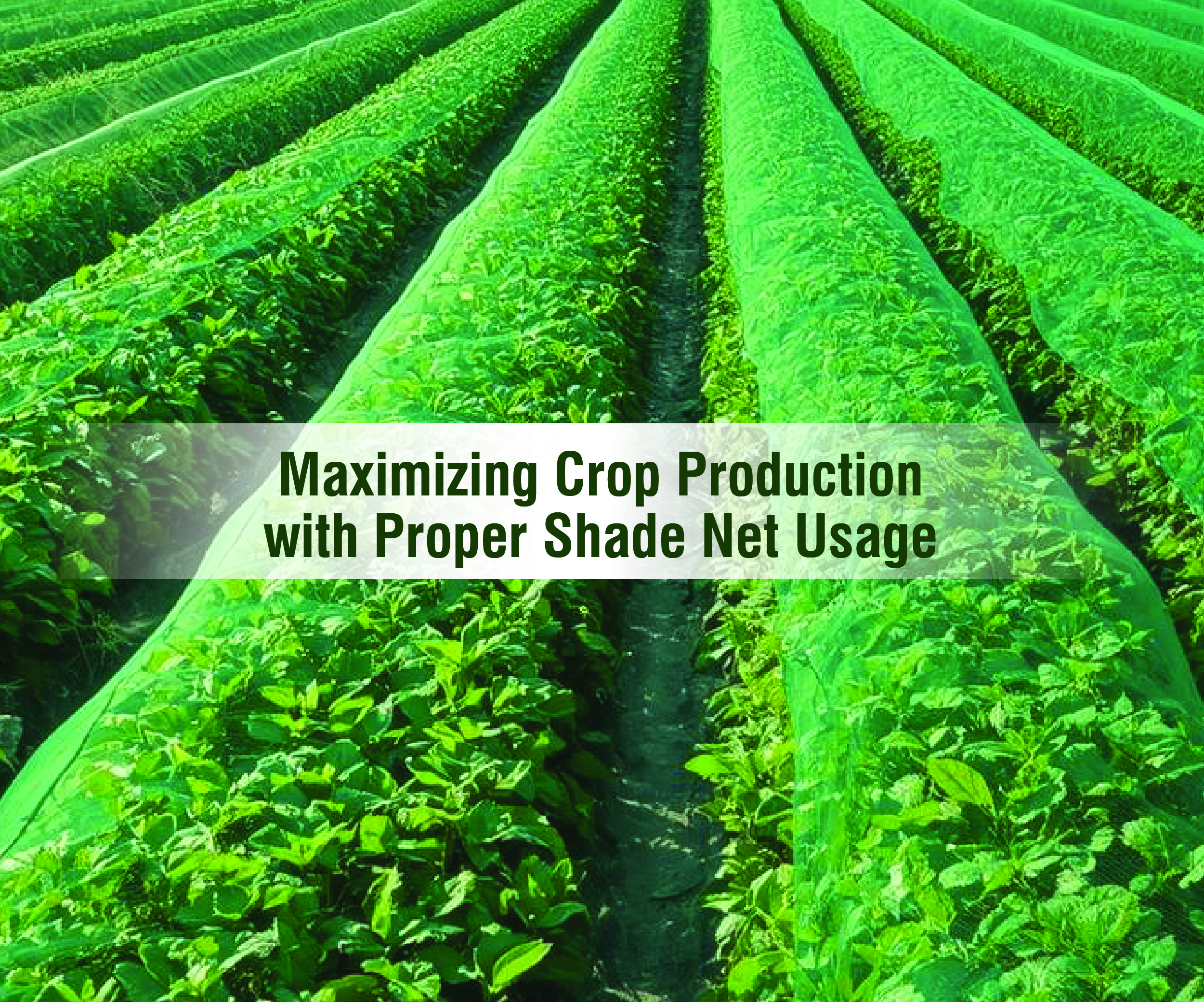Harvest High: Maximizing Crop Production with Proper Shade Net Usage