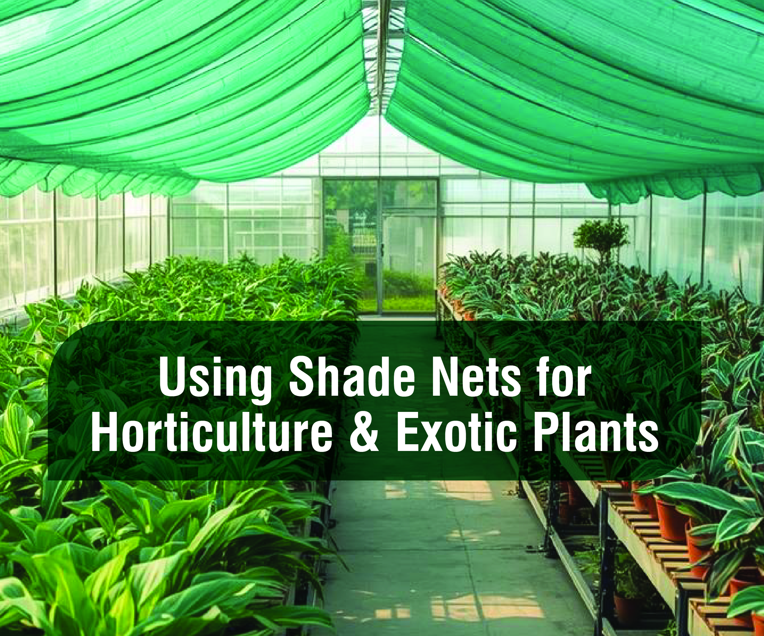 Cultivating the Rare: Using Shade Nets for Horticulture and Exotic Plants