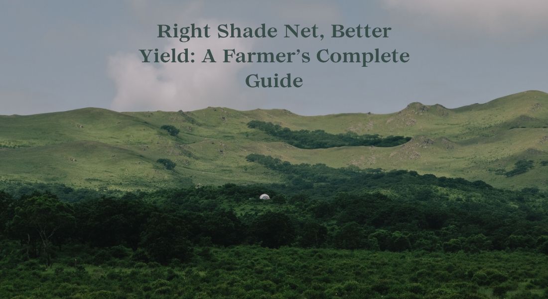 Right Shade Net, Better Yield: A Farmer’s Complete Guide