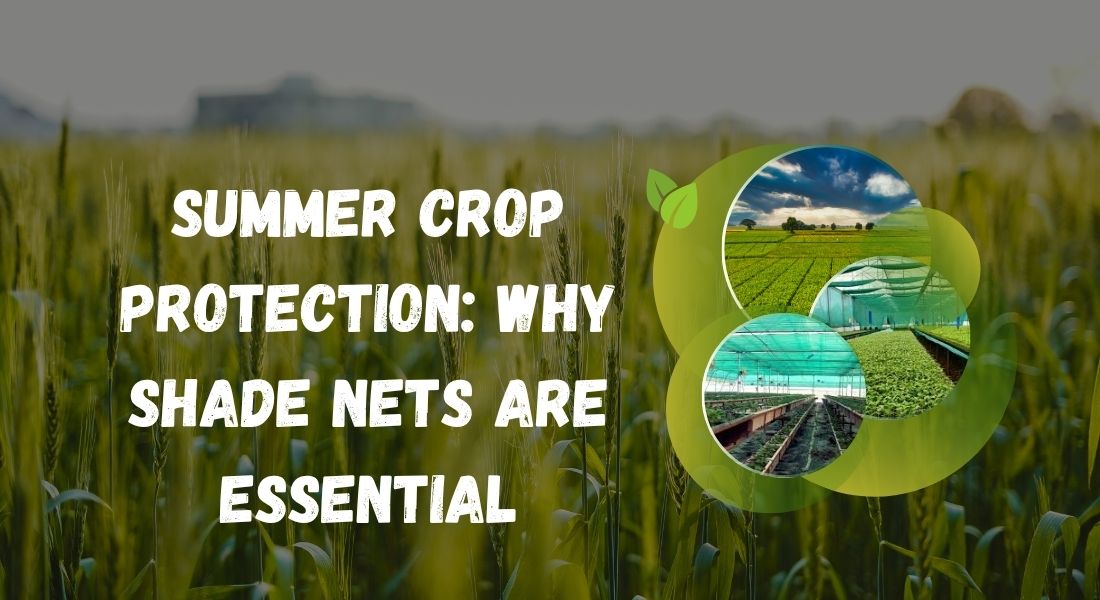 Summer Crop Protection: Why Shade Nets Are Essential