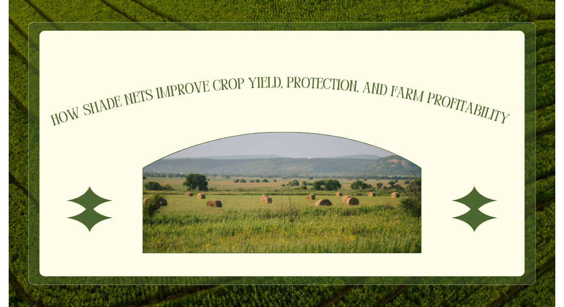 How Shade Nets Improve Crop Yield, Protection, Farm Profitability