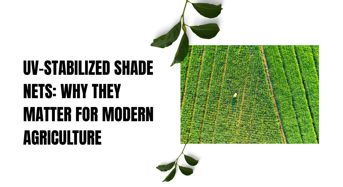 UV-Stabilized Shade Nets: Why They Matter for Modern Agriculture