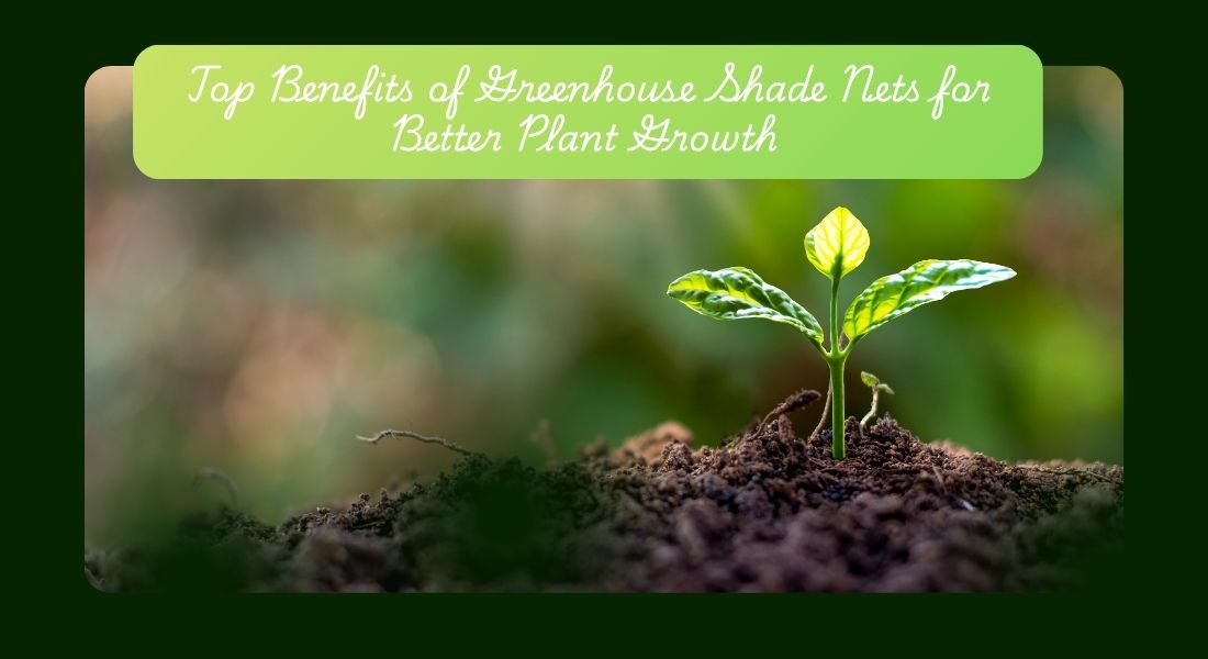 Top Benefits of Greenhouse Shade Nets for Better Plant Growth
