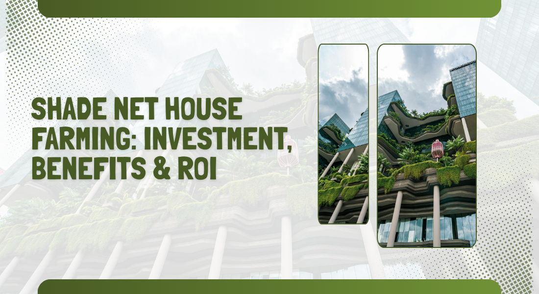 Shade Net House Farming: Investment, Benefits & ROI